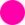 Pink (3)