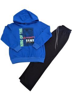 Conjunto Infantil Menino Moletom King of Dinossaur - Alenice
